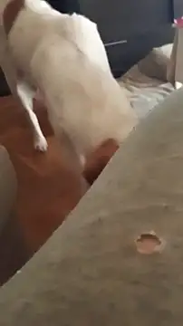 goloso80 online show from 10/22/25, 01:11