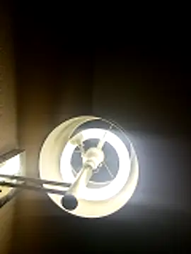 inked rayray online show from 04/08/26, 07:52