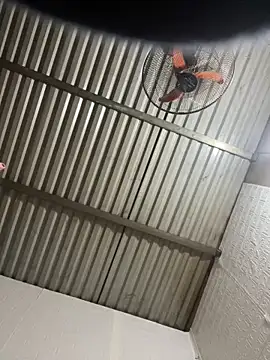 tabby-cat11 online show from 02/03/26, 08:30