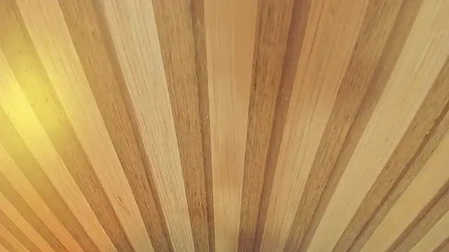 mia  blaze   online show from 01/13/26, 03:01