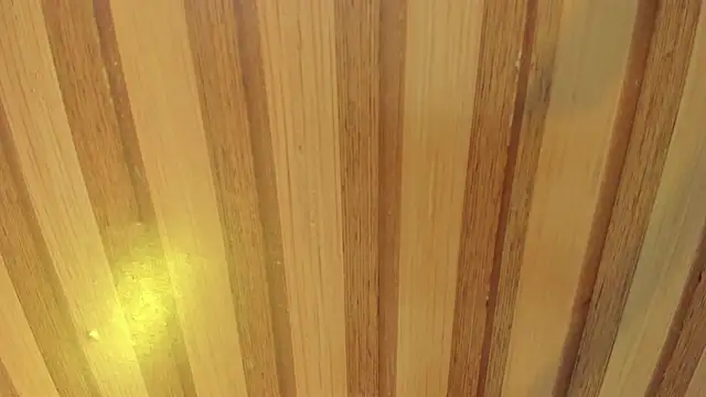 mia  blaze   online show from 04/08/26, 02:55