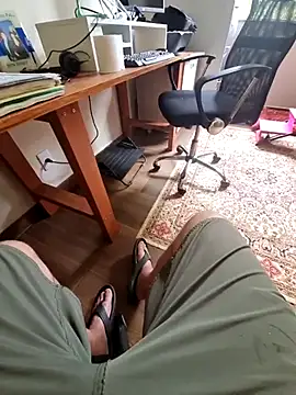 Scorpions2025 online show from 10/29/25, 12:29