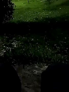 roludao fun online show from 11/10/25, 10:42