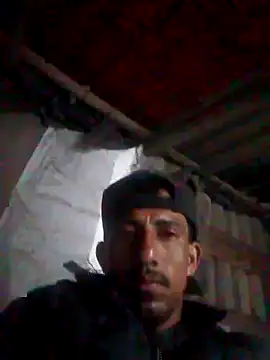 Orlao25cm online show from 10/18/25, 08:04