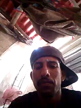 Orlao25cm online show from 10/20/25, 08:20