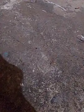 Orlao25cm online show from 11/16/25, 04:40