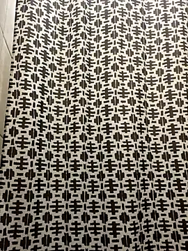 solodrive online show from 11/14/25, 11:31