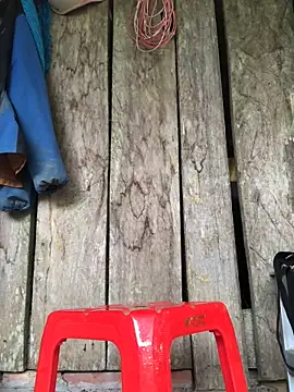 Kylie beem online show from 03/15/26, 06:19