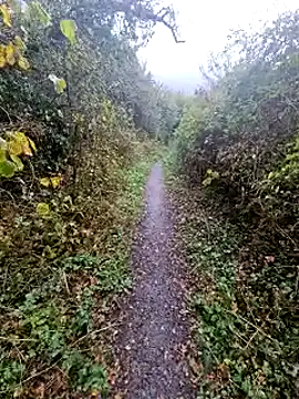 Snapshot of bbyxklaus chatting on 10/20/25, 11:43 bbyxklaus online show from 10/20/25, 11:43