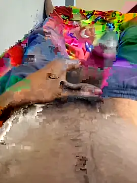 kumarstelugu online show from 03/25/26, 04:13