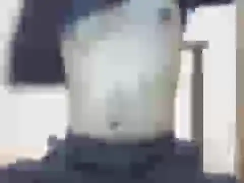 nick2445 online show from 03/22/26, 09:29