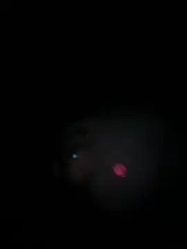 Paapii1098 online show from 03/15/26, 08:04