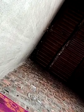 Bear bear0 online show from 12/19/25, 10:17