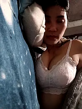 Bear bear0 online show from 03/11/26, 11:16