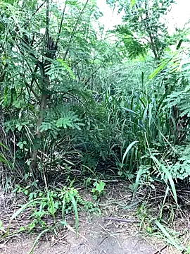 couplesexroom online show from 11/19/25, 08:03