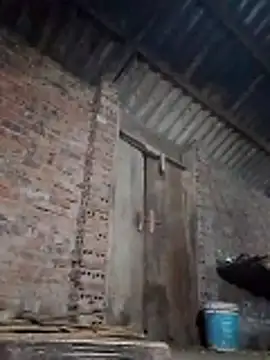  LAN  online show from 03/26/26, 09:53