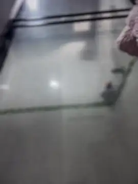 Violeet-Smith online show from 03/27/26, 02:50