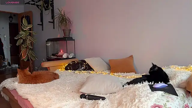 Lin Cherie online show from 11/20/25, 11:21