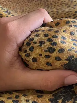 StrandedTrident online show from 04/18/26, 10:19