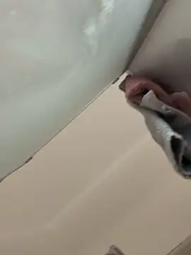 gatitalocahot online show from 12/17/25, 08:04