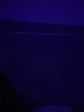 Snapshot of Gia_Atkinson chatting on 10/24/25, 11:45 Gia Atkinson online show from 10/24/25, 11:45