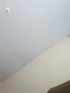 Morenodotado0 online show from 02/24/26, 03:32