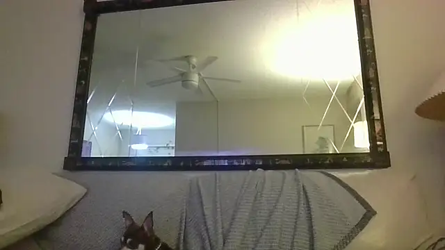 KosherCo313 online show from 11/23/25, 01:27