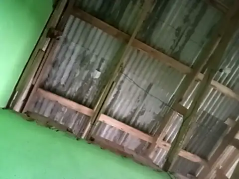 juniordotado87 online show from 01/10/26, 11:45