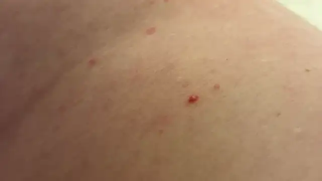 andrenoma427 online show from 01/13/26, 03:23