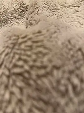 Jackoff2345 online show from 02/18/26, 05:25