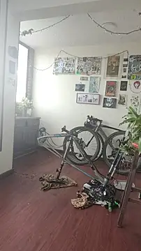 Neciaa online show from 04/08/26, 09:15