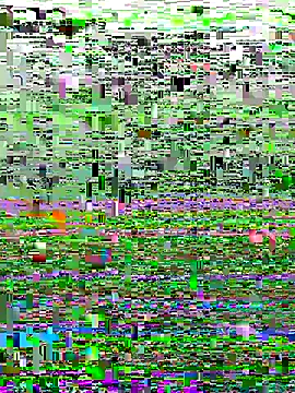 perfectguy4u online show from 10/28/25, 08:55