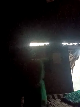 QRANSEXI online show from 11/26/25, 01:28