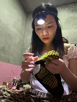 Yunzang online show from 02/28/26, 01:01