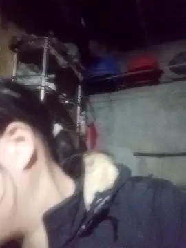 Noelle-e online show from 02/03/26, 11:15