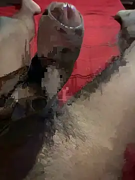 vijay20k online show from 03/03/26, 08:15