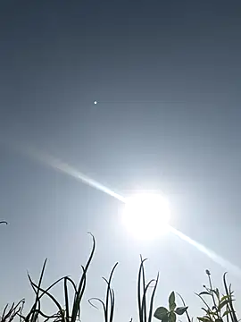 devil boy 0909 online show from 03/05/26, 03:46