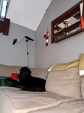 mattiethebaddieee online show from 11/30/25, 08:35