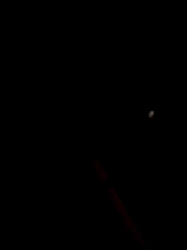 bella-la online show from 01/15/26, 10:57