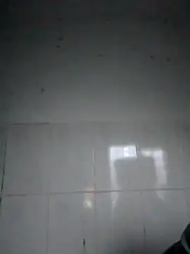 bella-la online show from 02/05/26, 12:04