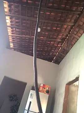 Ralf2011 online show from 12/04/25, 05:54