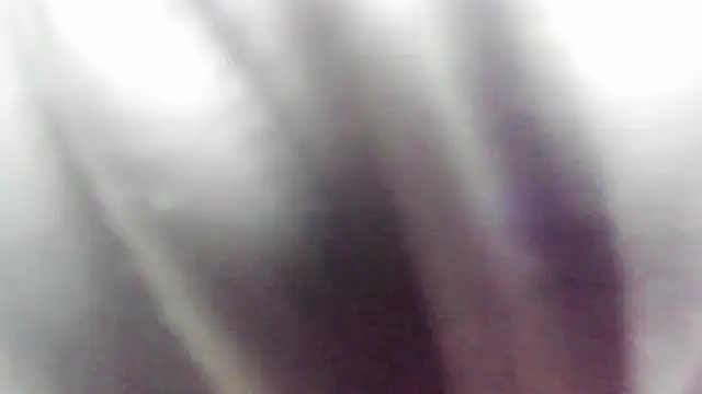 wild best online show from 02/16/26, 03:19