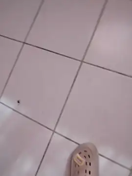 HomeyVending online show from 11/11/25, 04:18