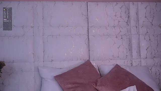 Snapshot of Idriill chatting on 11/26/25, 09:05 Idriill online show from 11/26/25, 09:05