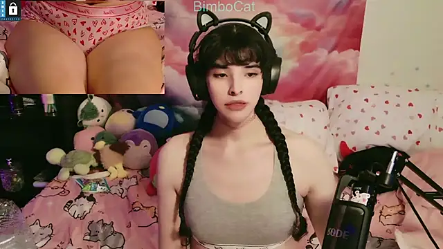 BimboCat online show from 11/01/25, 07:21