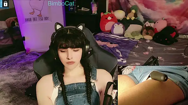 BimboCat online show from 12/14/25, 01:11