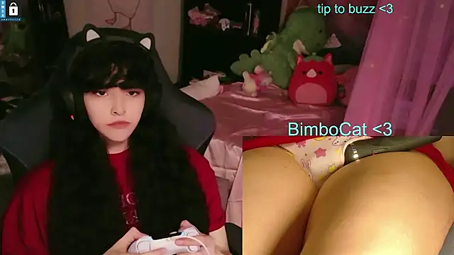 BimboCat online show from 06/11/26, 08:29