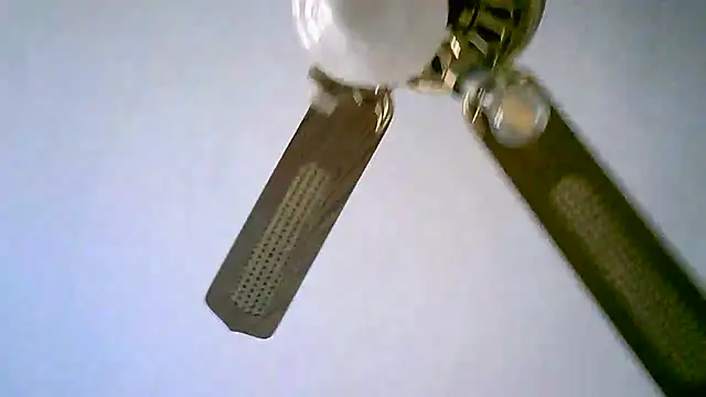 Snapshot of Sylviastar46 chatting on 11/11/25, 02:50 Sylviastar46 online show from 11/11/25, 02:50