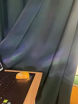 trinhvutrinh online show from 04/12/26, 04:17