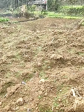 tian7788 online show from 02/17/26, 03:03